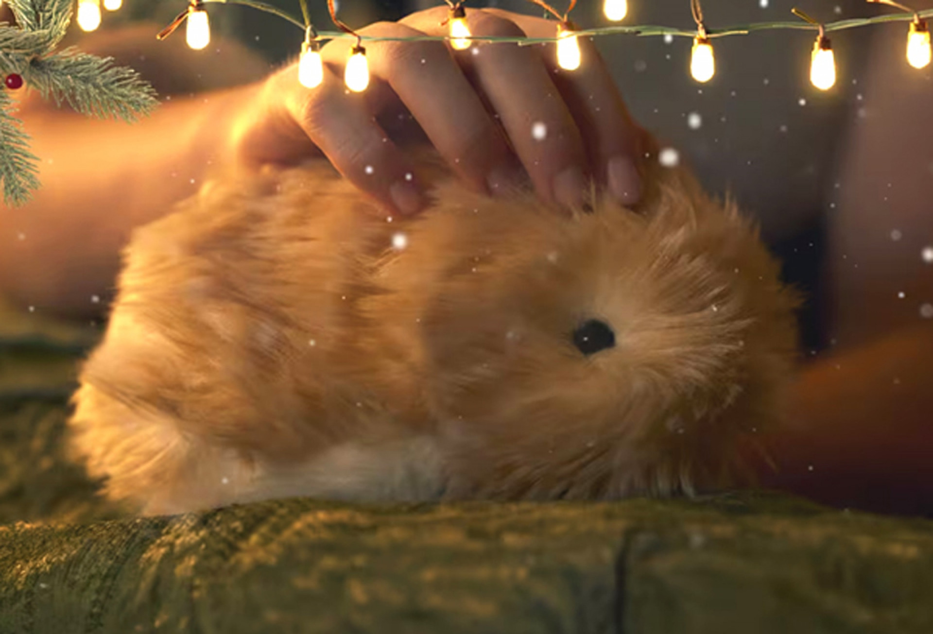 In at No.7 – So strange - meet Moflin